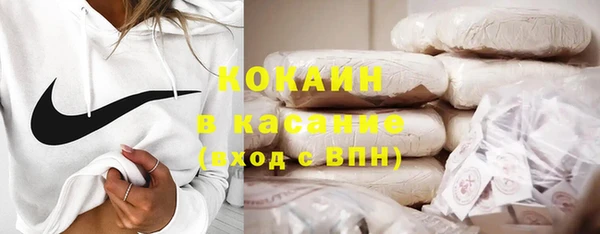 молекула духа Семёнов