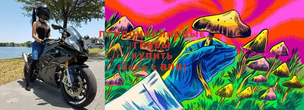 дмт Белокуриха