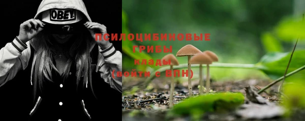 дмт Белокуриха