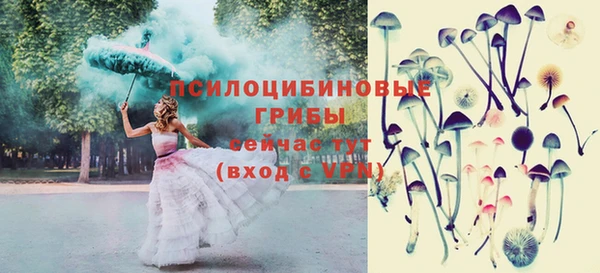 дмт Белокуриха