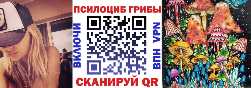 Галлюциногенные грибы GOLDEN TEACHER  Светлогорск 